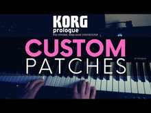 Load and play video in Gallery viewer, 100 Korg Prologue Custom Patches by Miles Away